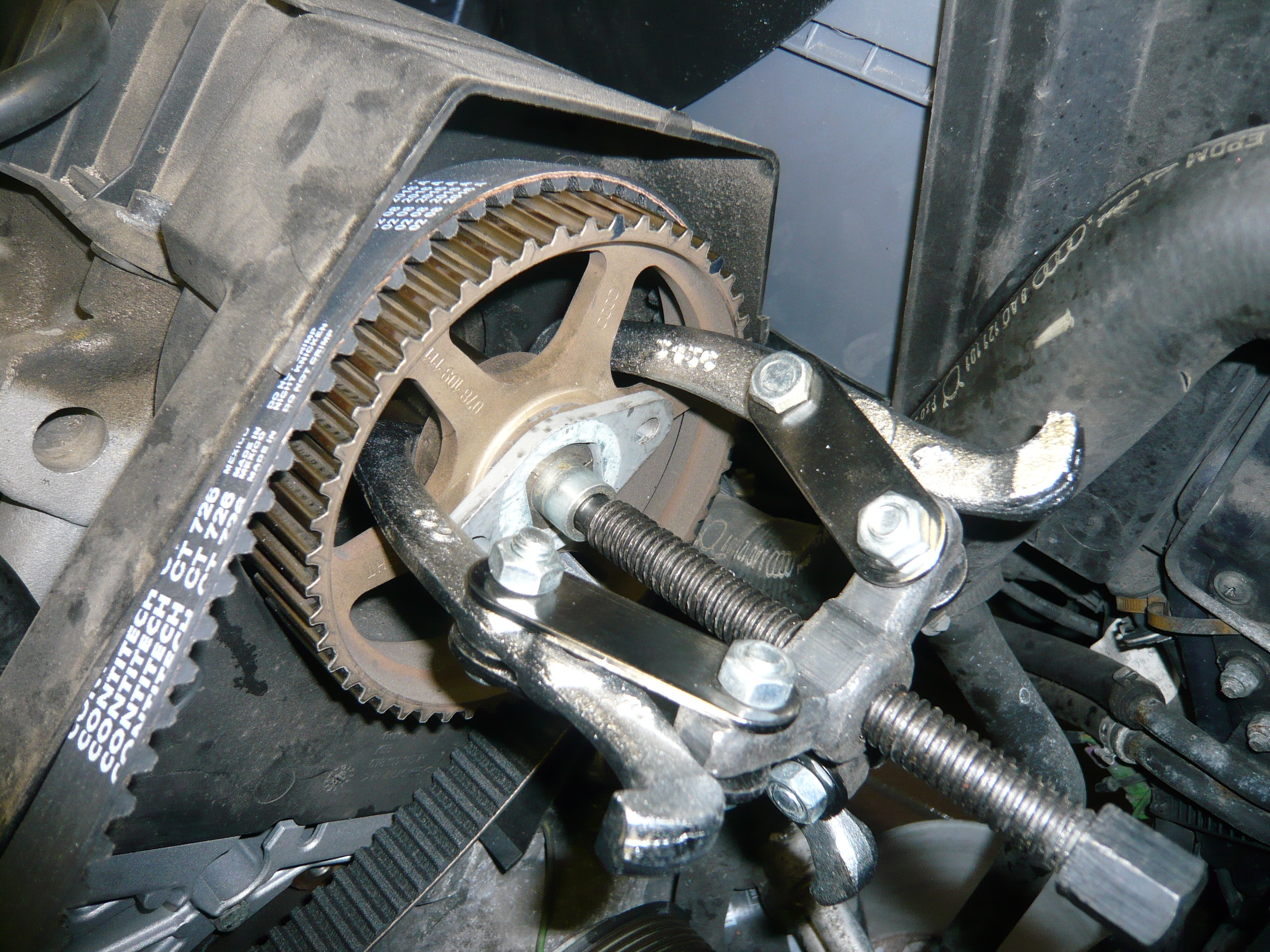 Motor